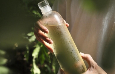 Cold Brew Tea – Smooth, Refreshing, and Naturally Sweet