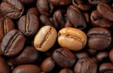 What Is a Coffee Quaker? Understanding Unevenly Ripe Coffee Beans