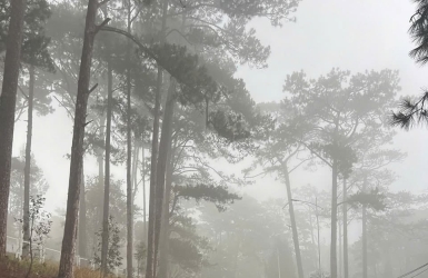 Why Rain Makes Da Lat Even More Beautiful