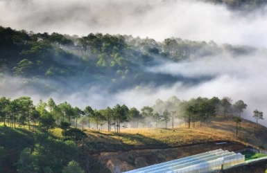 The Sounds of Da Lat: A City Best Experienced with Your Ears