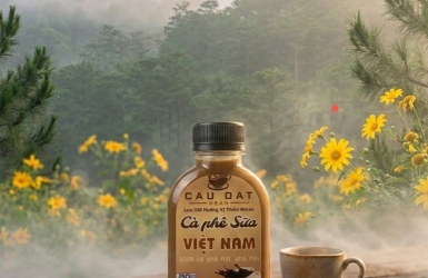 Vietnamese Milk Coffee Bottled – Ready to Drink Anytime