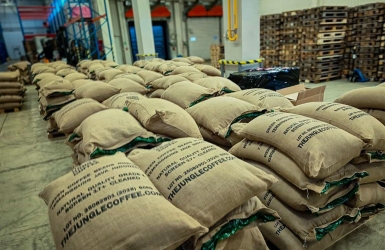 How to Store Green Coffee Beans: Temperature, Humidity & Packaging