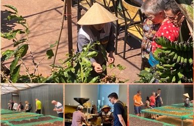 KỲ THÚ ARABICA CẦU ĐẤT – TINH HOA TỪ VÙNG ĐẤT CAO NGUYÊN ĐÀ LẠT