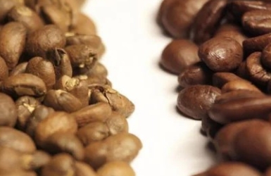 Arabica vs Robusta – What Makes Cau Dat Coffee Different?