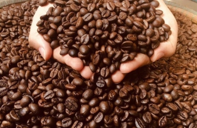 How to Choose Good Coffee Beans | A Simple Guide from Cau Dat Bean