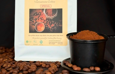 Redefining Vietnamese Robusta: Premium Green Coffee Beans from Lam Dong
