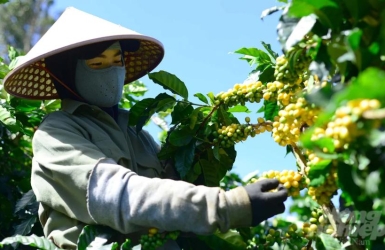 What Does Coffee Balance Mean? Understanding Flavor Balance in Coffee  Từ khóa chính: