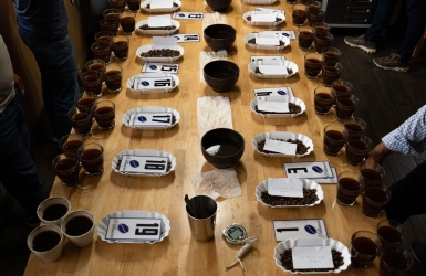 Coffee Cupping Process: A Beginner’s Guide to Tasting Coffee