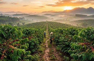 What Makes Coffee Sweet Naturally?