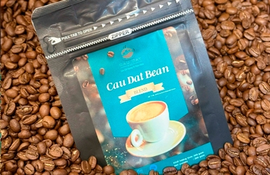 Premium Green Coffee Beans from Vietnam: The Cau Dat Arabica Collection