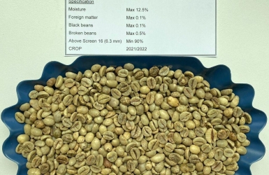 How to Read a Green Coffee Spec Sheet | Guide for Coffee Buyers