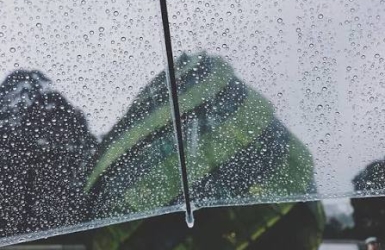 🌧️ Why Is Da Lat Still Cool and Rainy in the Middle of Summer?