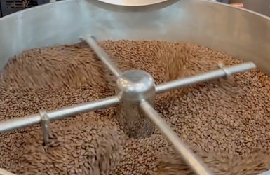 Premium Roasted Coffee from Vietnam: High-Altitude Arabica & Precision Roasting