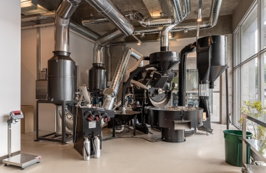 How Does Airflow Affect Coffee Roasting? A Practical Guide