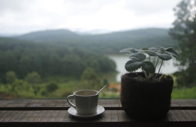 Some Flavors Only Belong to the Highlands