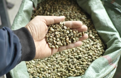 What Does Screen Size Mean in Green Coffee Beans?