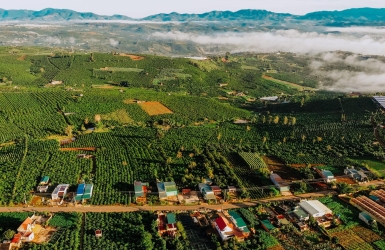 How Coffee Changed Da Lat Over the Last 100 Years