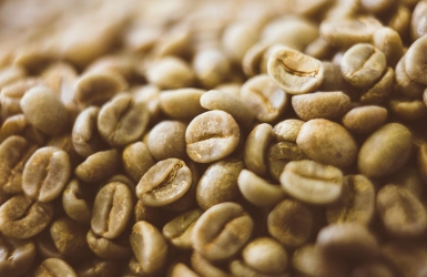 Why Green Coffee Density Matters | Guide for Coffee Roasters