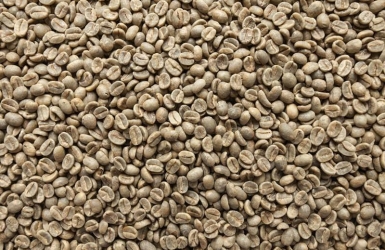 What Is Coffee Bean Color? What Green Coffee Color Can Tell You