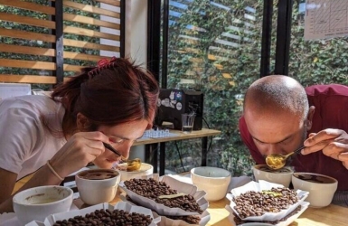 Why Does Coffee Taste Sour? Understanding Acidity in Coffee