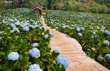Why Da Lat Is Known as Vietnam