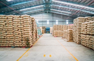How to Store Green Coffee Beans: Protecting Quality Before Roasting