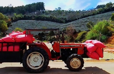 The mission of Cau Dat Bean