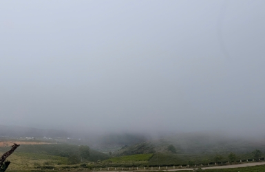 Misty Mornings in Cau Dat – Where Coffee Begins