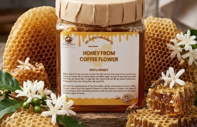 Coffee Blossom Honey – A Gentle Taste from the Highlands 🍯