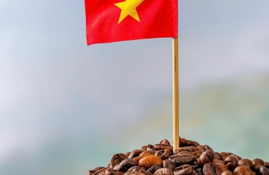 Vietnamese Morning Coffee Culture – A Slow Start to the Day