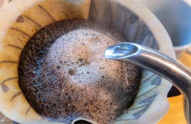 How Roast Development Shapes Coffee Flavor: A Guide for Coffee Roasters