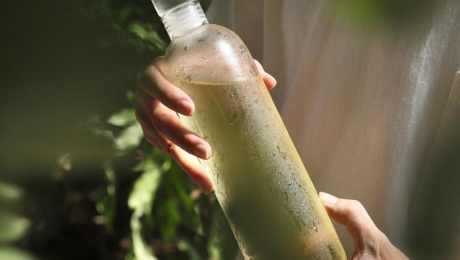 Cold Brew Tea – Smooth, Refreshing, and Naturally Sweet