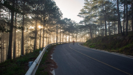 Why Da Lat Is One of Vietnam