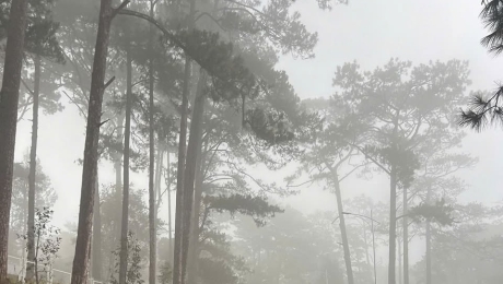 Why Rain Makes Da Lat Even More Beautiful