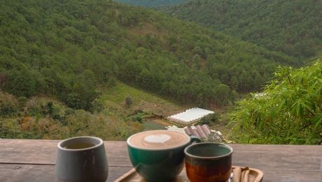 A Warm Cup of Coffee and Tea in Da Lat