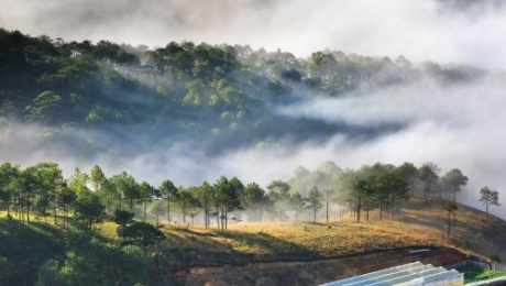 The Sounds of Da Lat: A City Best Experienced with Your Ears