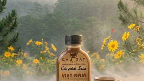 Vietnamese Milk Coffee Bottled – Ready to Drink Anytime