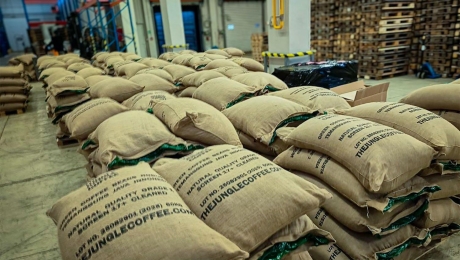 How to Store Green Coffee Beans: Temperature, Humidity & Packaging