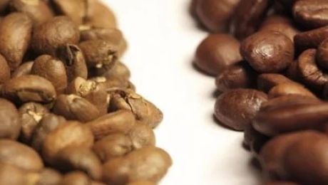 Arabica vs Robusta – What Makes Cau Dat Coffee Different?