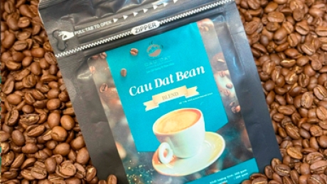 Premium Green Coffee Beans from Vietnam: The Cau Dat Arabica Collection