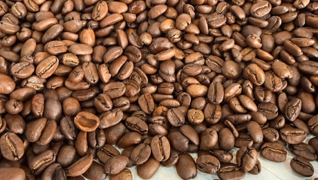 A Morning Inside the Cau Dat Bean Roastery