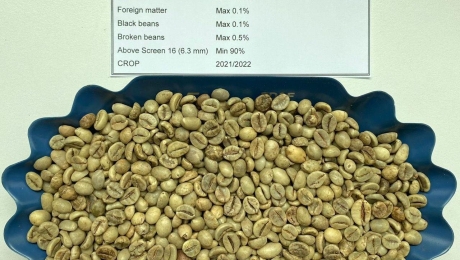 How to Read a Green Coffee Spec Sheet | Guide for Coffee Buyers
