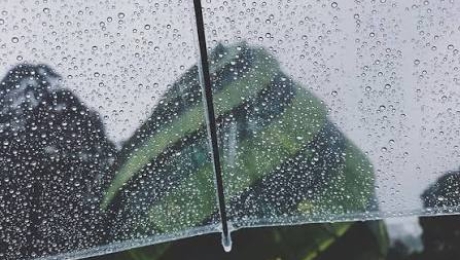 🌧️ Why Is Da Lat Still Cool and Rainy in the Middle of Summer?