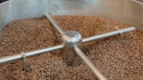 Premium Roasted Coffee from Vietnam: High-Altitude Arabica & Precision Roasting