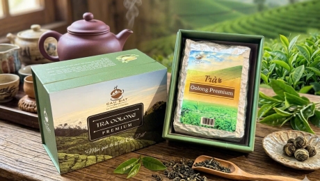 Oolong Tea – The Perfect Balance Between Green and Black Tea