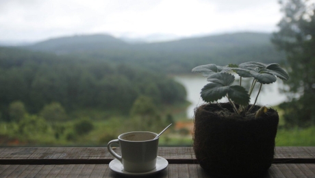 Some Flavors Only Belong to the Highlands