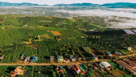 How Coffee Changed Da Lat Over the Last 100 Years