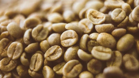 Why Green Coffee Density Matters | Guide for Coffee Roasters