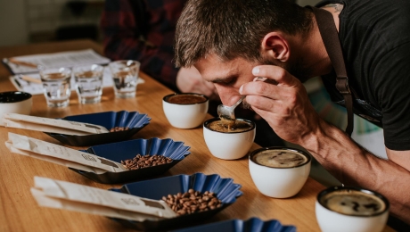 Why Do Some Coffees Taste Like Chocolate, Berries, or Flowers?