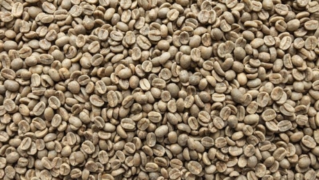What Is Coffee Bean Color? What Green Coffee Color Can Tell You